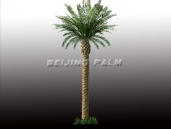 Artificial Canary palm tree