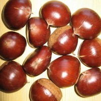 Fresh Chestnut