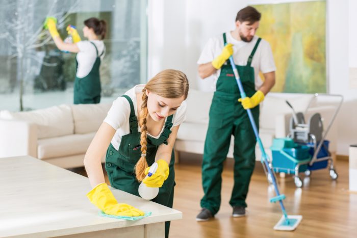 Domestic Cleaning Adelaide