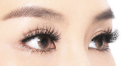 How To Look For A False Eyelashes Manufacturer?