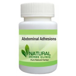 Herbal Product for Abdominal Adhesions