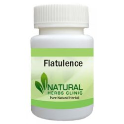 Herbal Product for Flatulence