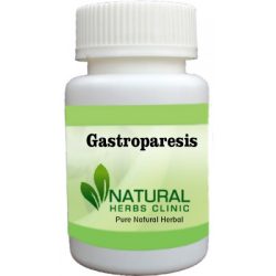 Herbal Product for Gastroparesis