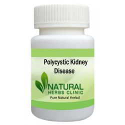 Herbal Product for Polycystic Kidney Disease