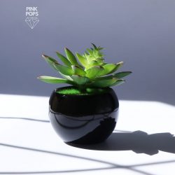Black Spherical Faux Cactus Plants