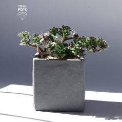 Stone Potted Faux Cactus Plants