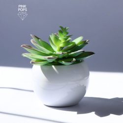 Aloe vera White Spherical Ceramic Faux Plants