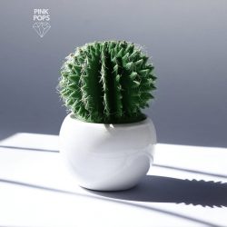 Alluring Cactuses Ceramic Faux Plants