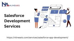 Salesforce Development Services