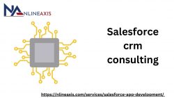 Salesforce crm consulting