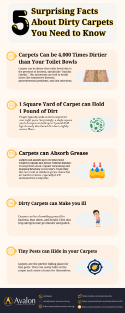 5 Surprising Facts About Dirty Carpets You Need to Know