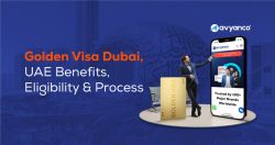 Golden Visa in Dubai and the UAE