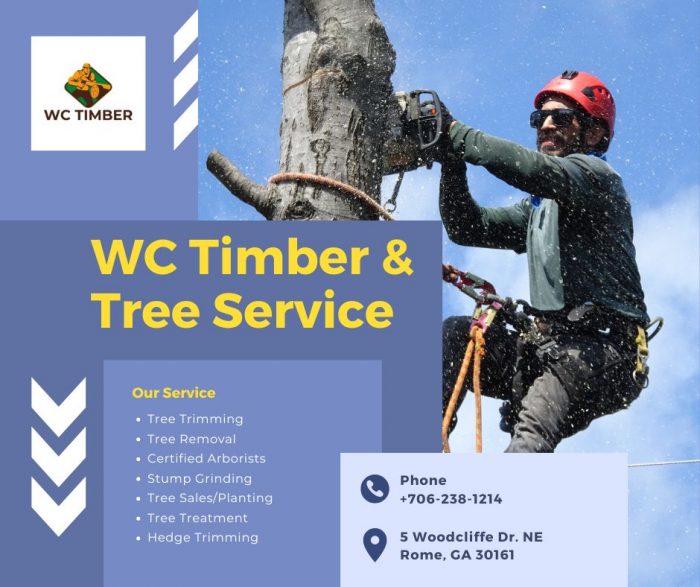 Get the affordable service Forestry Mulching by Timber Consultant in Rome GA