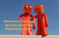 Admission Consulting Services for the US