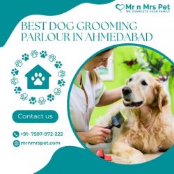 Best Dog Grooming Parlour in Ahmedabad