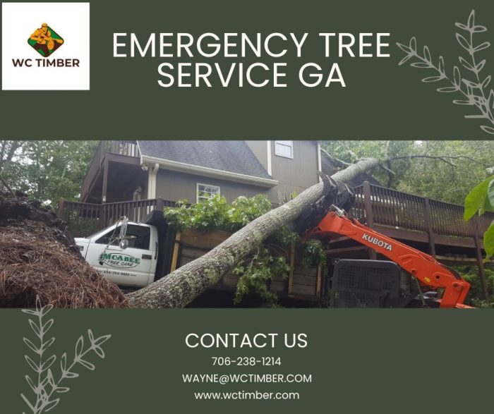 Top-Rated Emergency Tree Service and Crane Service in GA – WC Timber