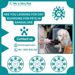 The Best Day Boarding For Pets in Bangalore