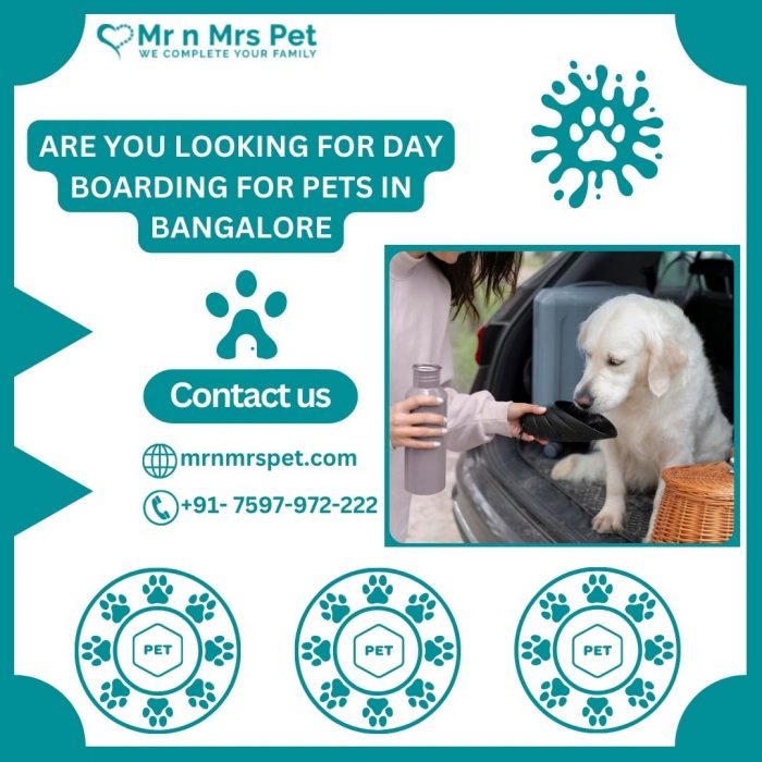 The Best Day Boarding For Pets in Bangalore