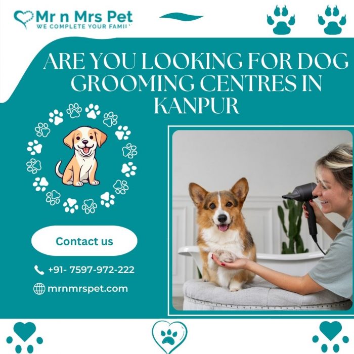 Best Dog Grooming Centres in Kanpur