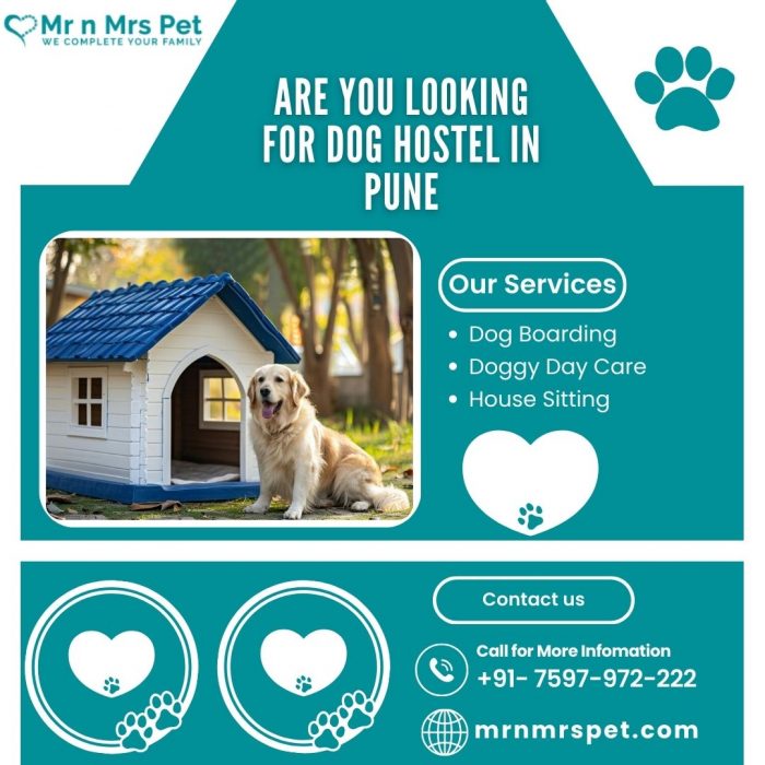 The Best Dog Hostel in Pune