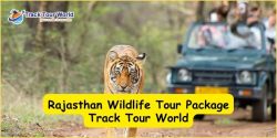 Rajasthan Wildlife Tour Package – Track Tour World