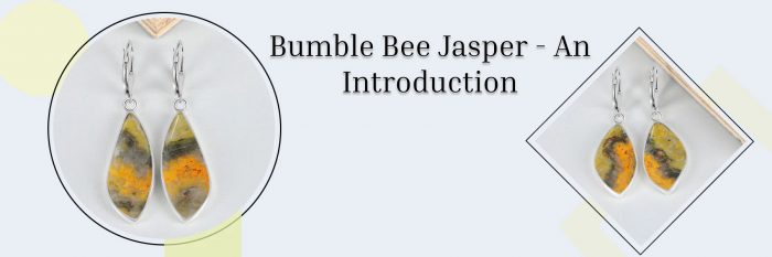 Bumble Bee Jasper: History, Meaning, Healing Properties, Facts, Benefits & Uses