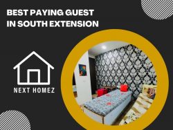 Best Paying Guest In South Extension – Nexthomez