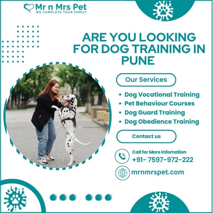 Best Dog Training in Pune