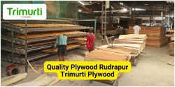 Quality Plywood Rudrapur – Trimurti Plywood