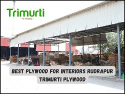 Best Plywood for Interiors Rudrapur – Trimurti Plywood