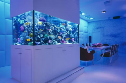 The Finest Luxury Aquariums by RedFin Aquarium Design