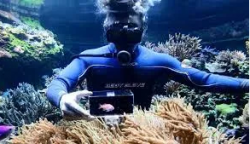 Expert Aquarists by Oceanyx Ltd, Dubai