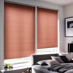 Dual Roller Shades Kelowna