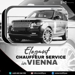 Elegant Chauffeur Service in Vienna