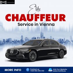 Elite Chauffeur Service in Vienna