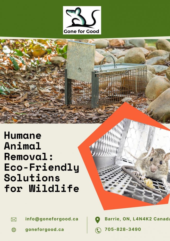 Humane Animal Removal: Eco-Friendly Solutions for Wildlife