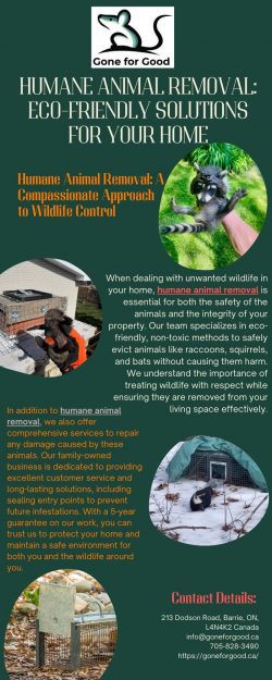 Humane Animal Removal: Eco-Friendly Solutions for Your Home