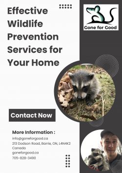 Effective Wildlife Prevention Services for Your Home