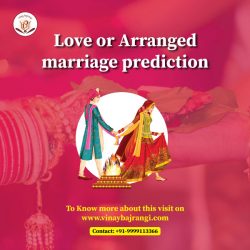 Love or Arranged Marriage Prediction