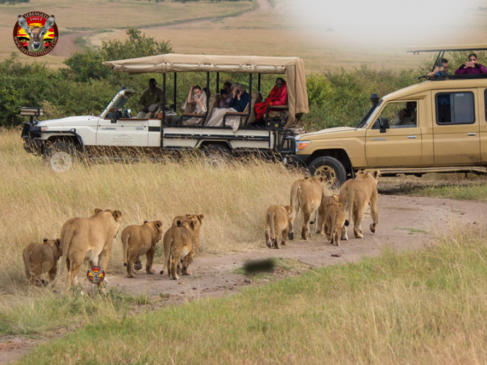 Experience Unmatched Luxury with Private Tanzania Safari Tours