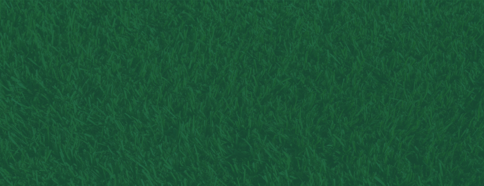 TifTuf Grass – Lush, Resilient, and Water-Efficient Turf