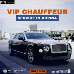 VIP Chauffeur Service in Vienna