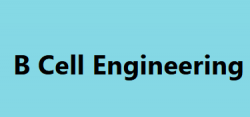 B Cell Engineering Technologies