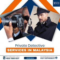 Private Detective Services in Malaysia