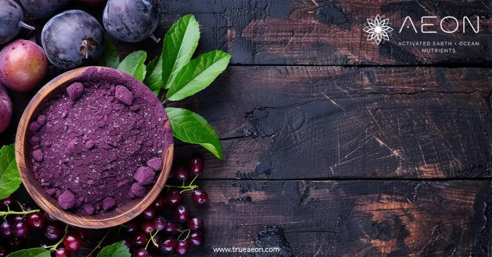 Supergreen Tonik vs. AEON ONE – Which Superfood Powder is Better for Your Health?