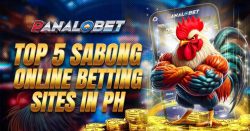 Choosing the Best Sabong Platform: What Matters Most?