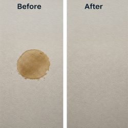 Expert Stain Removal by Steam Squad in New York, USA