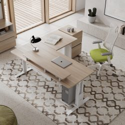 Work Smarter, Not Harder: The Standing Desk Advantage