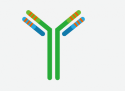 Recombinant Anti-B5 Env Neutralizing Antibody