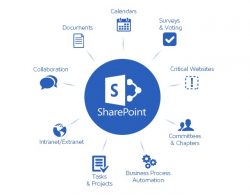 Expert SharePoint Services in Sydney: Unlock Seamless Collaboration